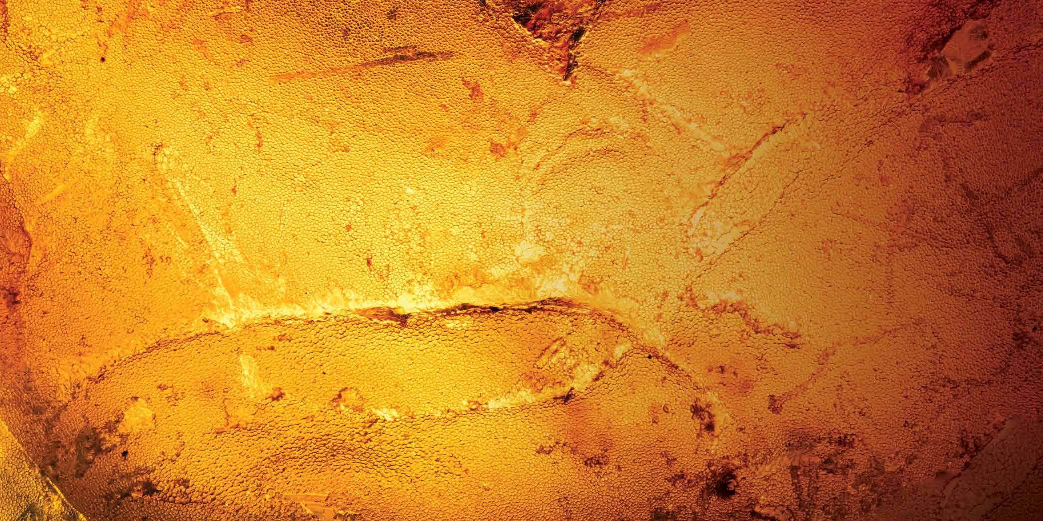 BINGHATTI AMBERHALL