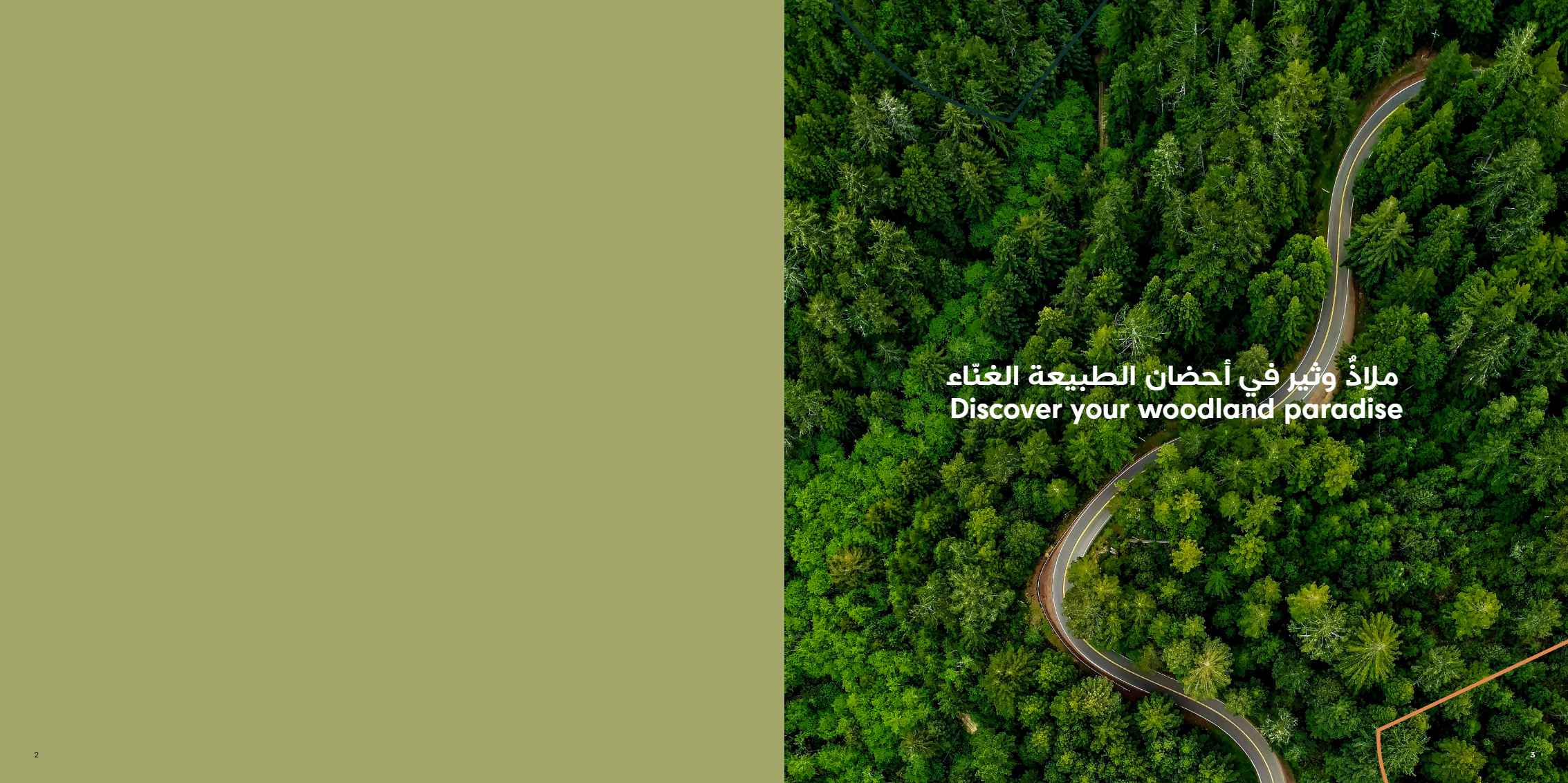 Masaar 1 - Sequoia